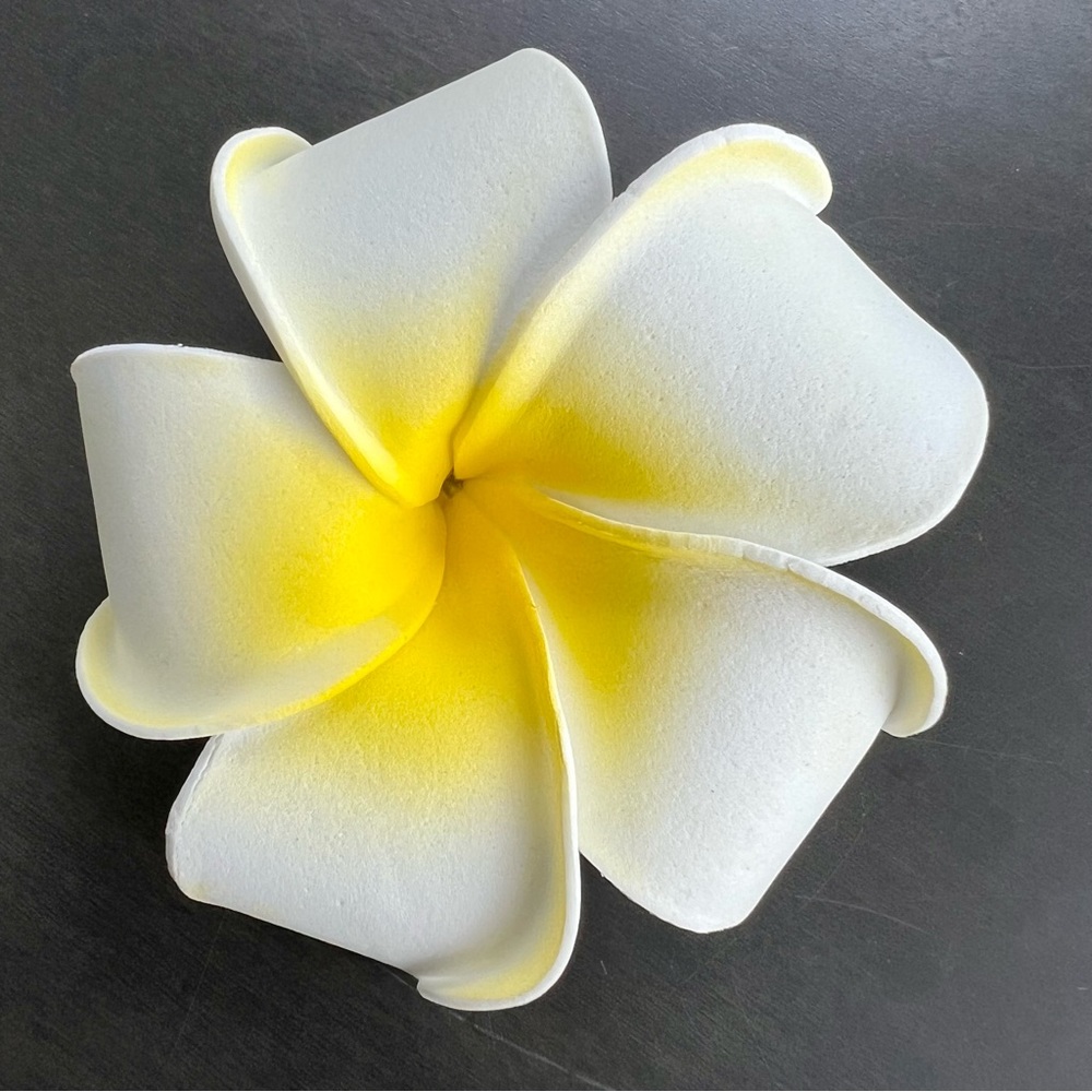 *FREE 🎁* Hibiscus Hair Clip
